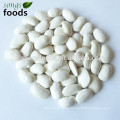 Chinese fava beans in alibaba